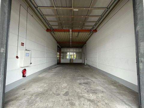 Gersheim Halle, Gersheim Hallenfläche