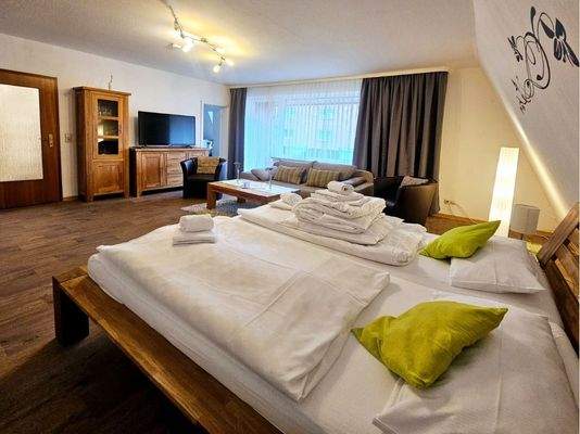 Wohn- und Schlafzimmer mit Balkon