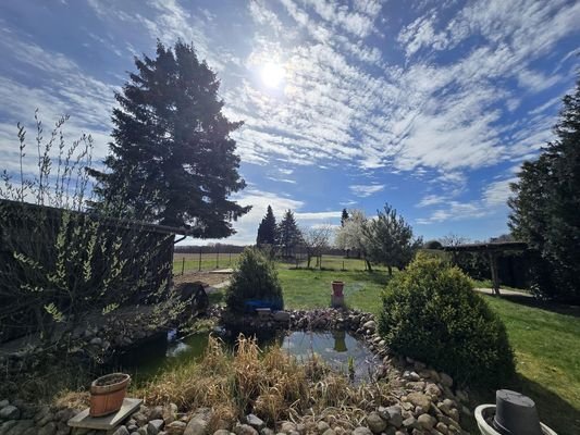Blick in den Garten u. Feldern