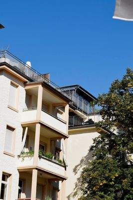 AU N Rückseite_DSC0430.jpg