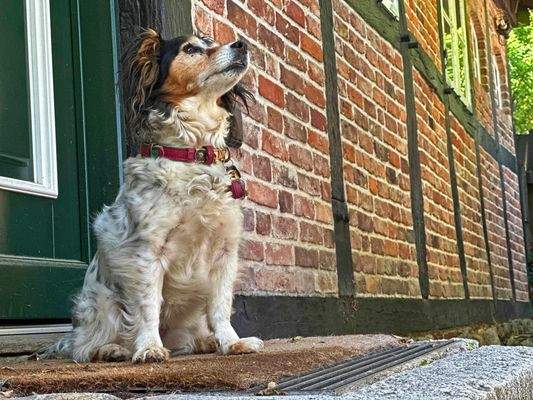 Herzlich willkommen!