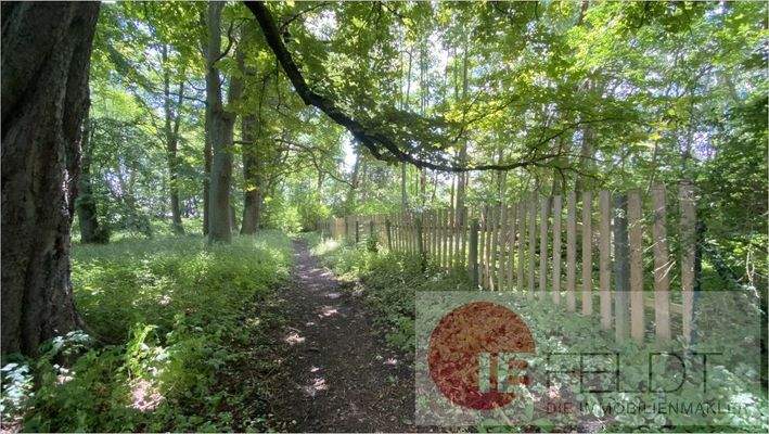 Rückseite Grundstück