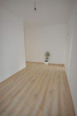 Leerer Raum mit Pflanze