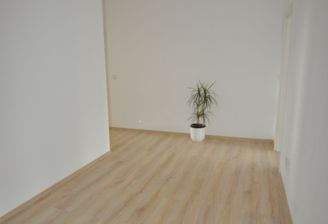 Leerer Raum mit Pflanze