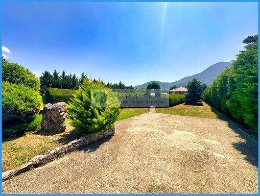 32e6336fc74045ff91b4603c88bcbed8-original