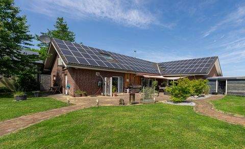 Ascheberg Halle, Ascheberg Hallenfläche