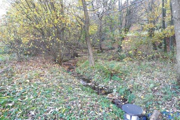 kleiner Bach auf dem Grundstück