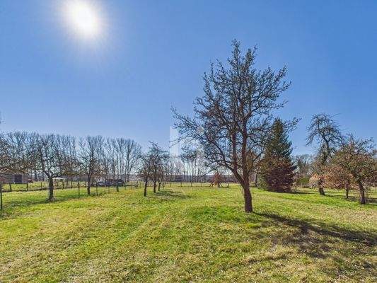 Außenbereich Grünfläche