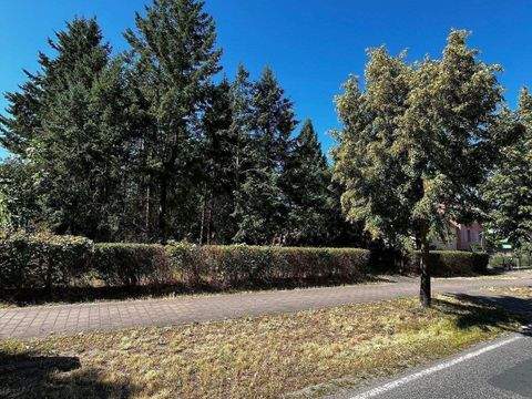 Groß Kreutz (Havel) Grundstücke, Groß Kreutz (Havel) Grundstück kaufen