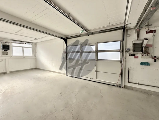 INFOS UNTER: 06171-586000