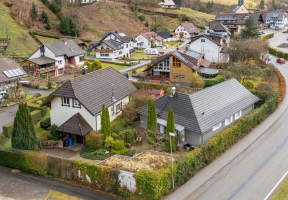 1_Herrenstein_Titel_2(1).jpg