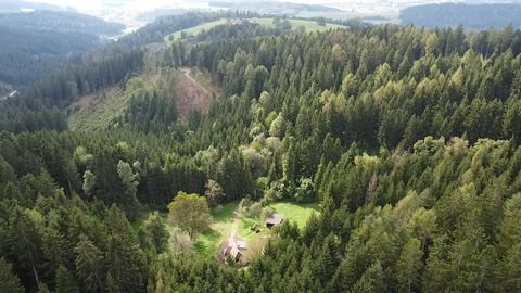 Guttaring Bauernhöfe, Landwirtschaft, Guttaring Forstwirtschaft