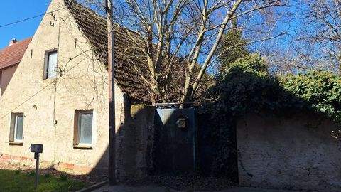 Barby / Häuser, Barby / Haus kaufen