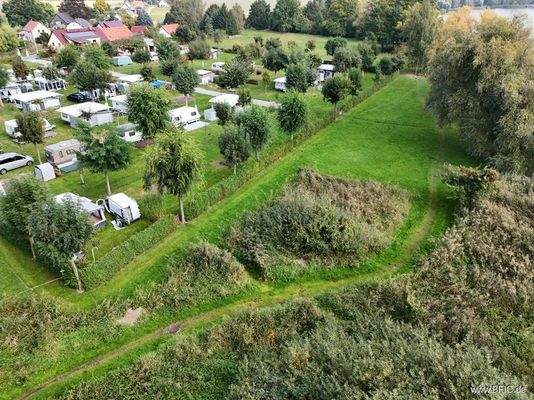 Uferbereich mit Badewiese