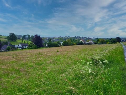 Arnsberg-Wennigloh Bauernhöfe, Landwirtschaft, Arnsberg-Wennigloh Forstwirtschaft