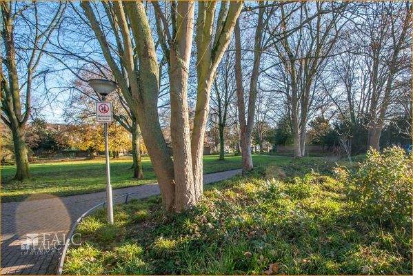 Park hinter dem Haus