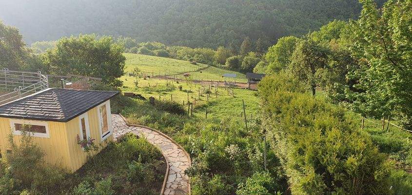 photo_2025-05-24_14-22-39 (2).jpg