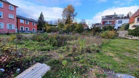 Wangen im Allgäu Wohnungen, Wangen im Allgäu Wohnung kaufen