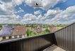Ausblick