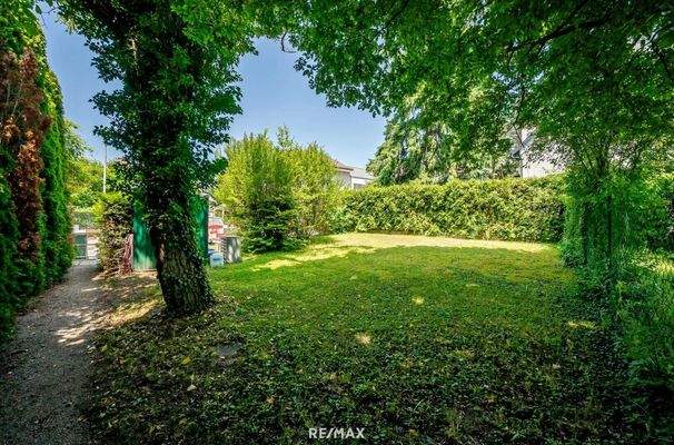 großer allgemeiner Gartenbereich