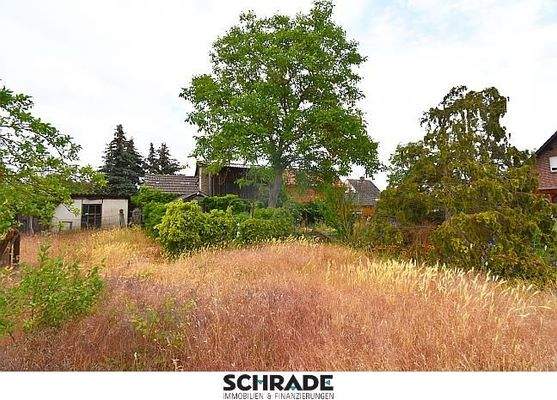 ...Ihr zukünftiger Selbstversorgergarten