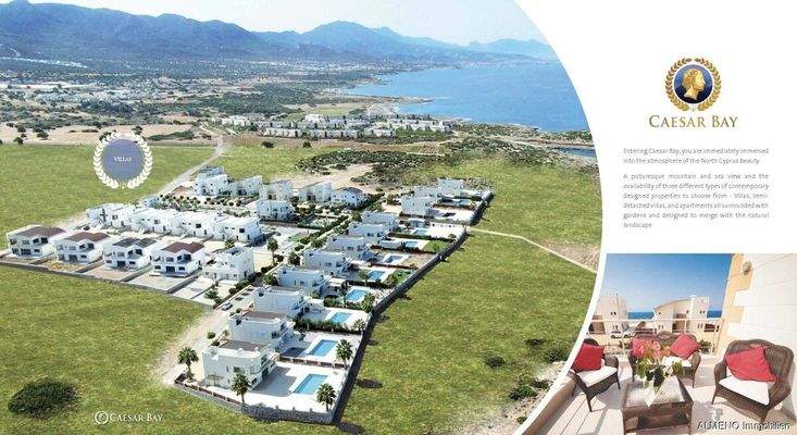 Caesar Projects Catalogue 2024_Seite_38