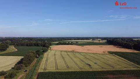 Wardenburg Bauernhöfe, Landwirtschaft, Wardenburg Forstwirtschaft