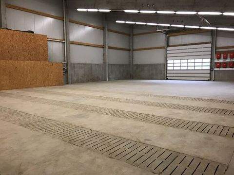 Geiselhöring Halle, Geiselhöring Hallenfläche