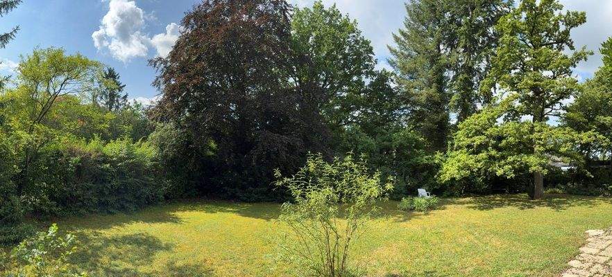 Sonniges Villen-Traumgrundstück.jpg