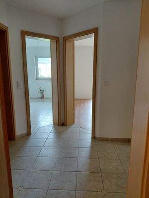 WhatsApp Image 2026-02-12 at 10.38.57