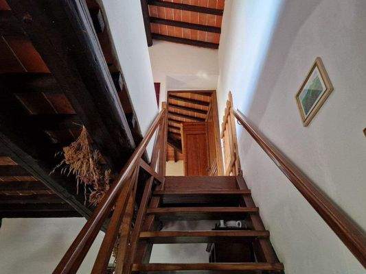 51LAzienda_ agricola_Toskana.jpg