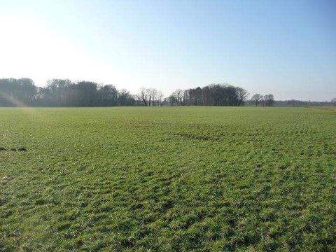 Alfhausen Häuser, Alfhausen Haus kaufen