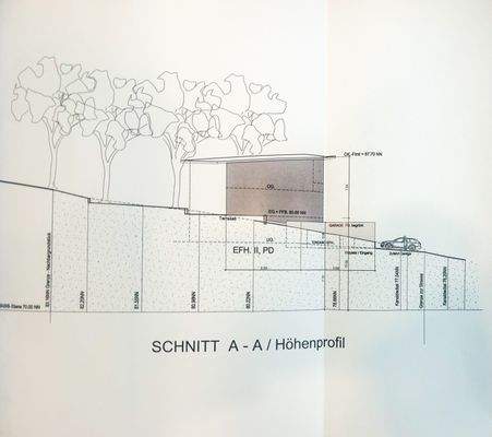 Schnitt Bauvorbescheid