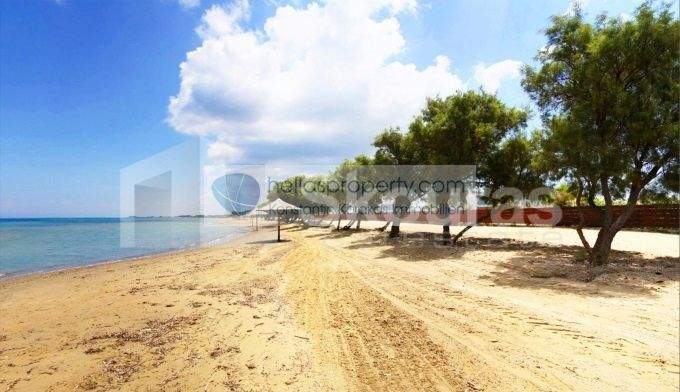 8fe77effb054400bab08673ccb81f3d0-original