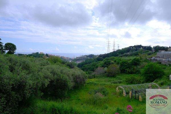 Rif 1462(Copy38).jpg