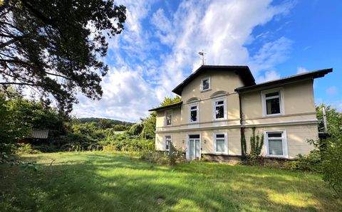 Alfeld Häuser, Alfeld Haus kaufen