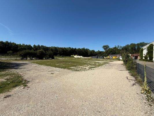 Freifläche Kirchheim