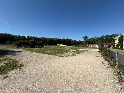 Kirchheim unter Teck Halle, Kirchheim unter Teck Hallenfläche