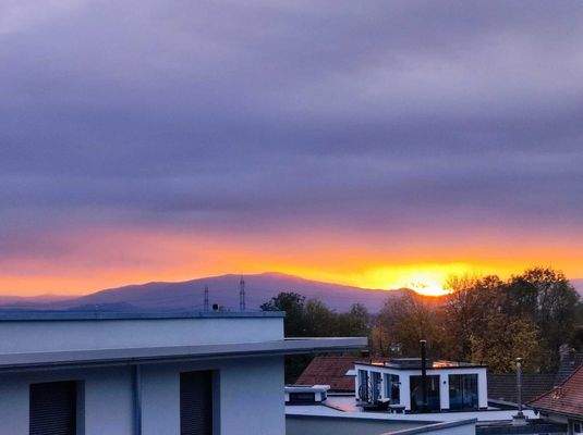 WhatsApp Bild 2025-11-10 um 19.09.51_79d9f421