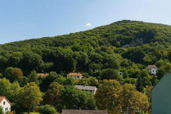 Blick_vom_möglichen_Blockhaus_mit_herrlicher_Aussicht_