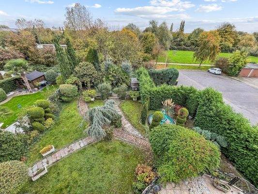 DG - Blick in den Garten