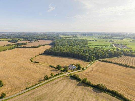 Luftaufnahme mit Reitwald
