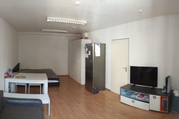 Wohn- und Schlafzimmer