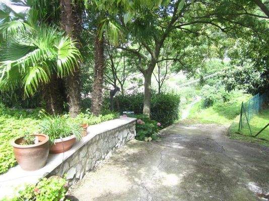 (FILEminimizer) IMG_8509 - Copia