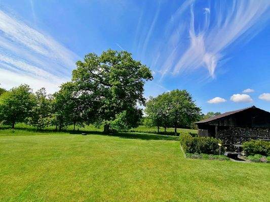 Gartenfläche mit Baumbestand.jpg