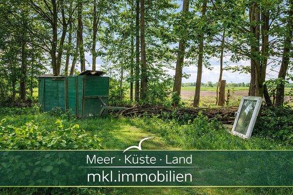 unverbaubarer Blick ins Grüne