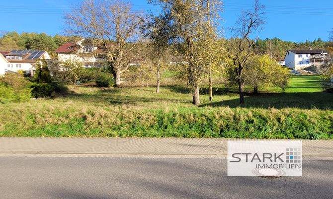 Ansicht Straßenseite.jpg