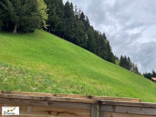 Bild 18