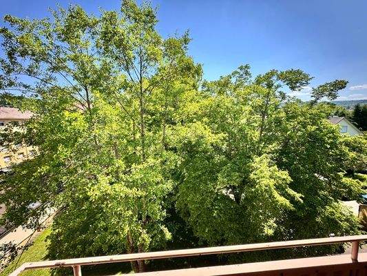 Vogelgezwitscher statt Straßenlärm