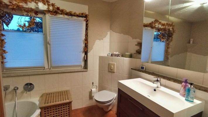 Badezimmer Ansicht 1